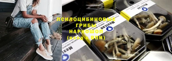 амф Алзамай