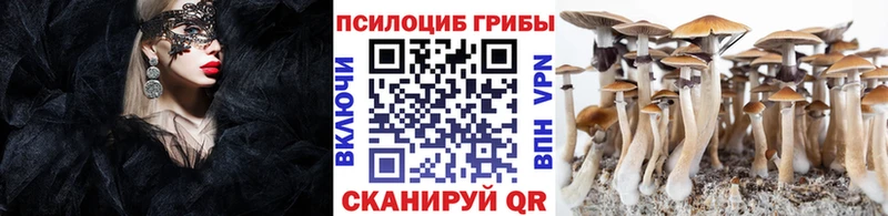 hydra зеркало  Калач  Псилоцибиновые грибы Psilocybe 