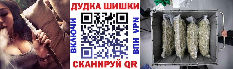 МАРИХУАНА планчик hydra Калач наркотики